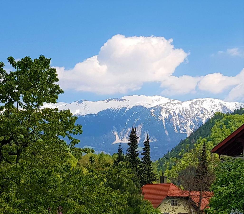 Studio Jan Zgornje Gorje Eksteriør bilde